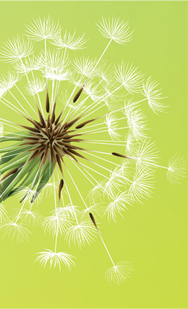 علوم اجتماعی(بنیادین)